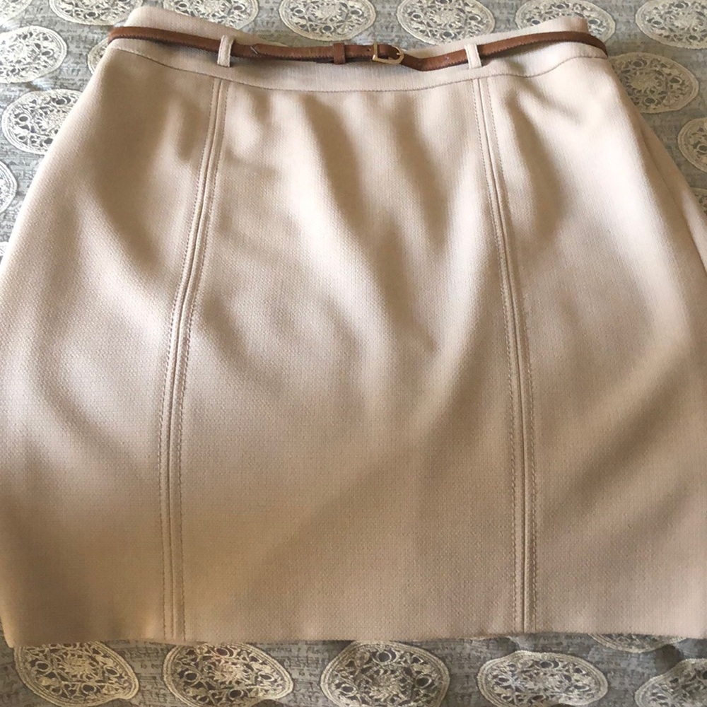 Ann Taylor Loft skirt